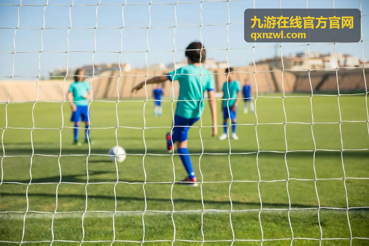 九游在线官方官网登录入口操作说明卡片